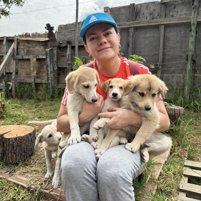 Los nuevos bebes